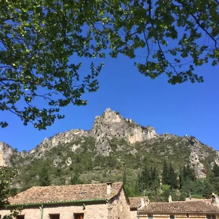 Dauphin *